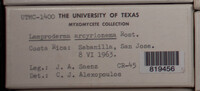 Image Associated With the Occurence